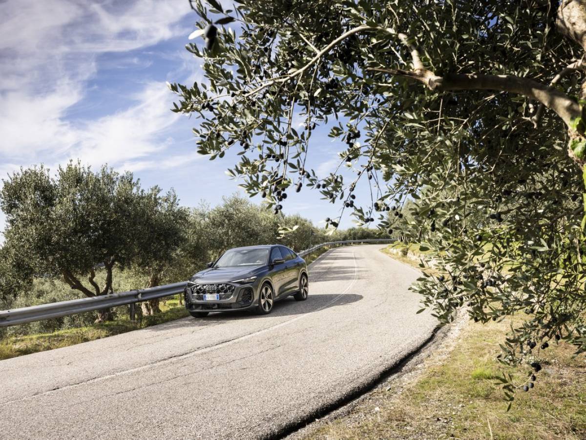 Audi Q5 e-hybrid: guarda la gallery 17