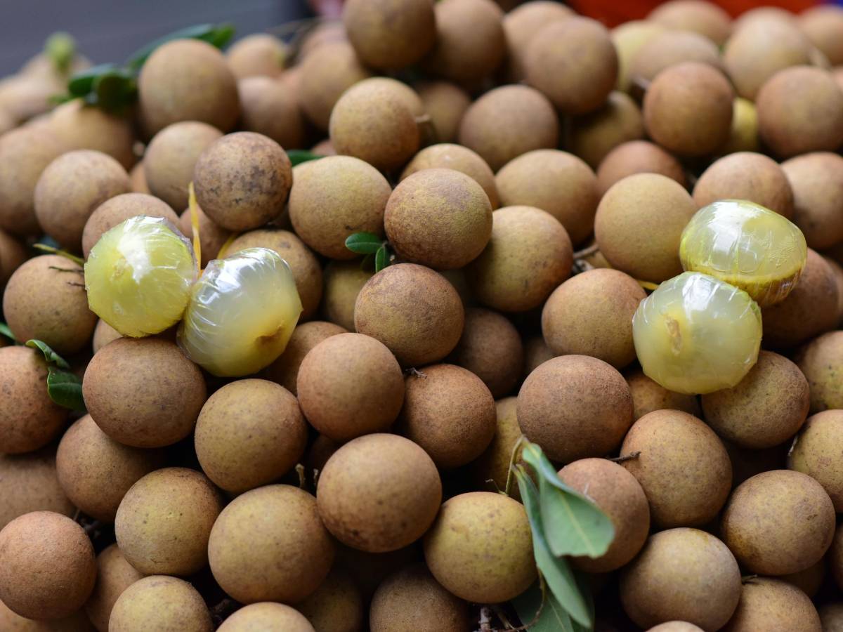 Il longan, frutto succoso che offre benefici per cuore e cervello Il longan, frutto succoso che offre benefici per cuore e cervello