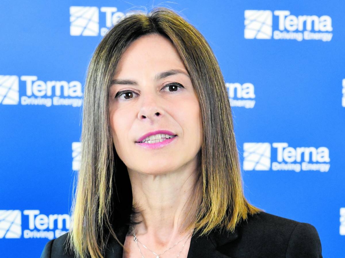 terna profitti a 11 miliardi e investimenti record da Ilgiornale.it terna profitti a 11 miliardi e investimenti record