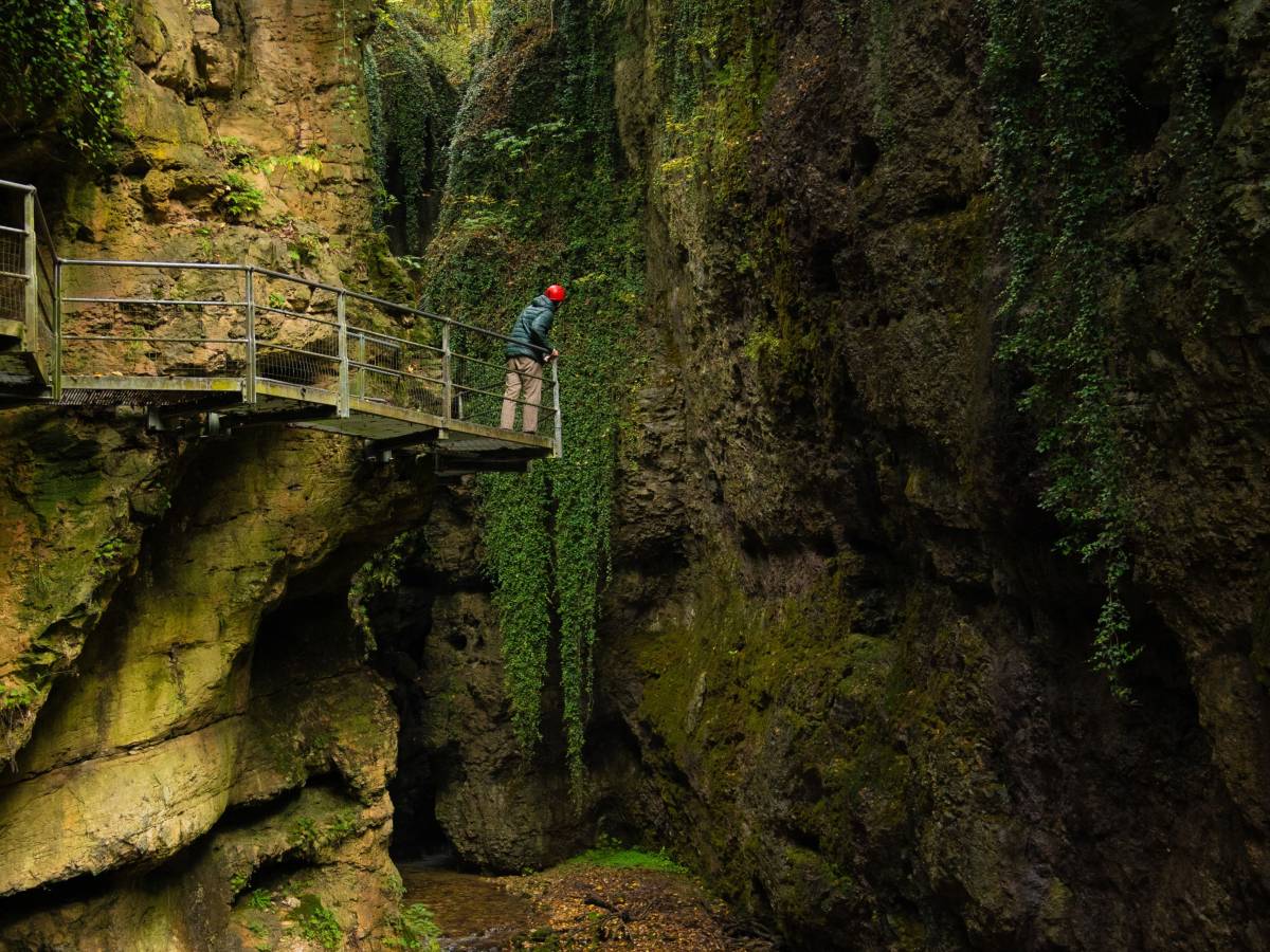 Inaugurata la mostra Trentino Unexpected al Mudec Photo   Museo delle Culture