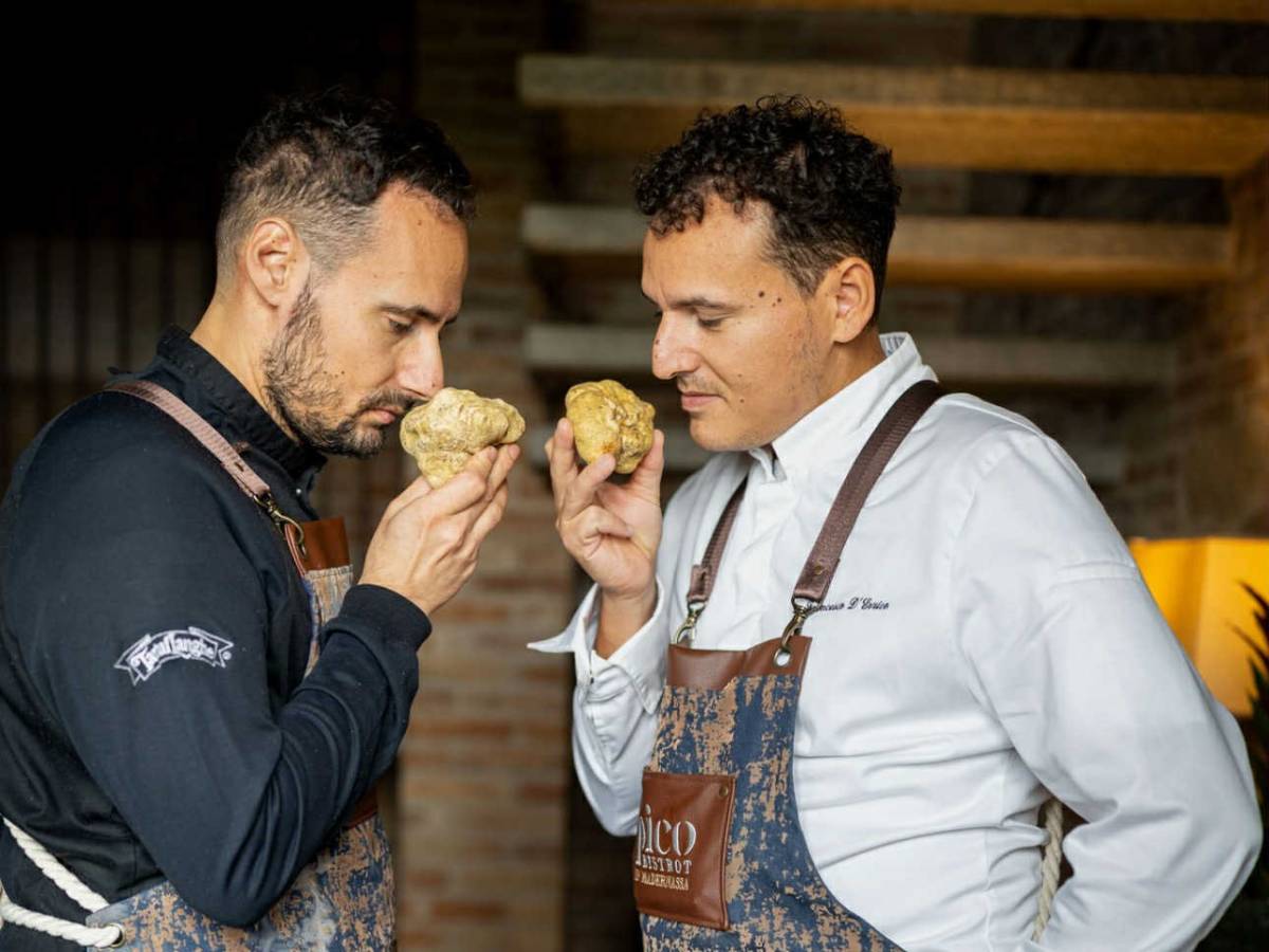 Pico Bistrot, il santuario del tartufo Pico Bistrot, il santuario del tartufo