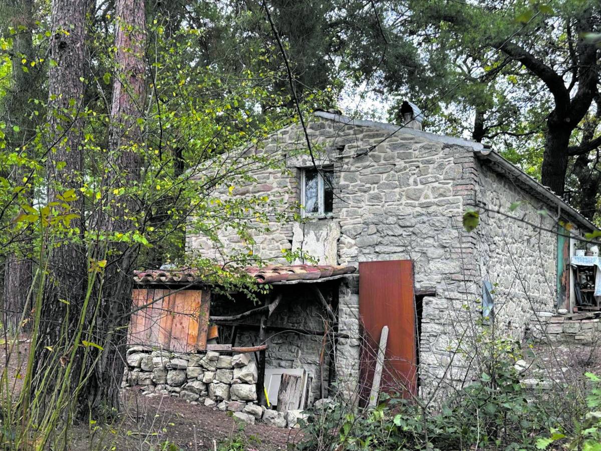 La casa nel bosco punita da leggi eccessive La casa nel bosco punita da leggi eccessive
