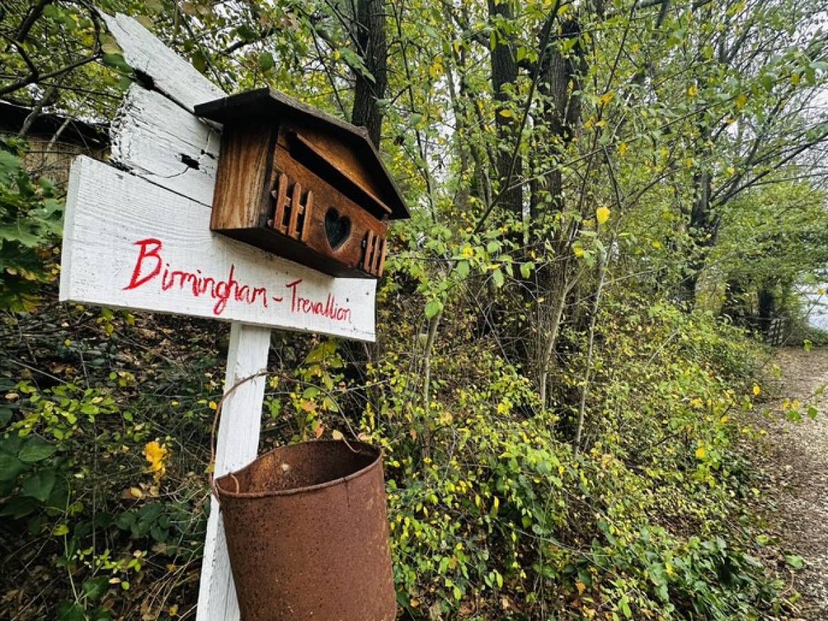 Il ritorno nel bosco: il piano dei genitori per riavere i figli e ricostruire una vita "off grid" Il ritorno nel bosco: il piano dei genitori per riavere i figli e ricostruire una vita "off grid"