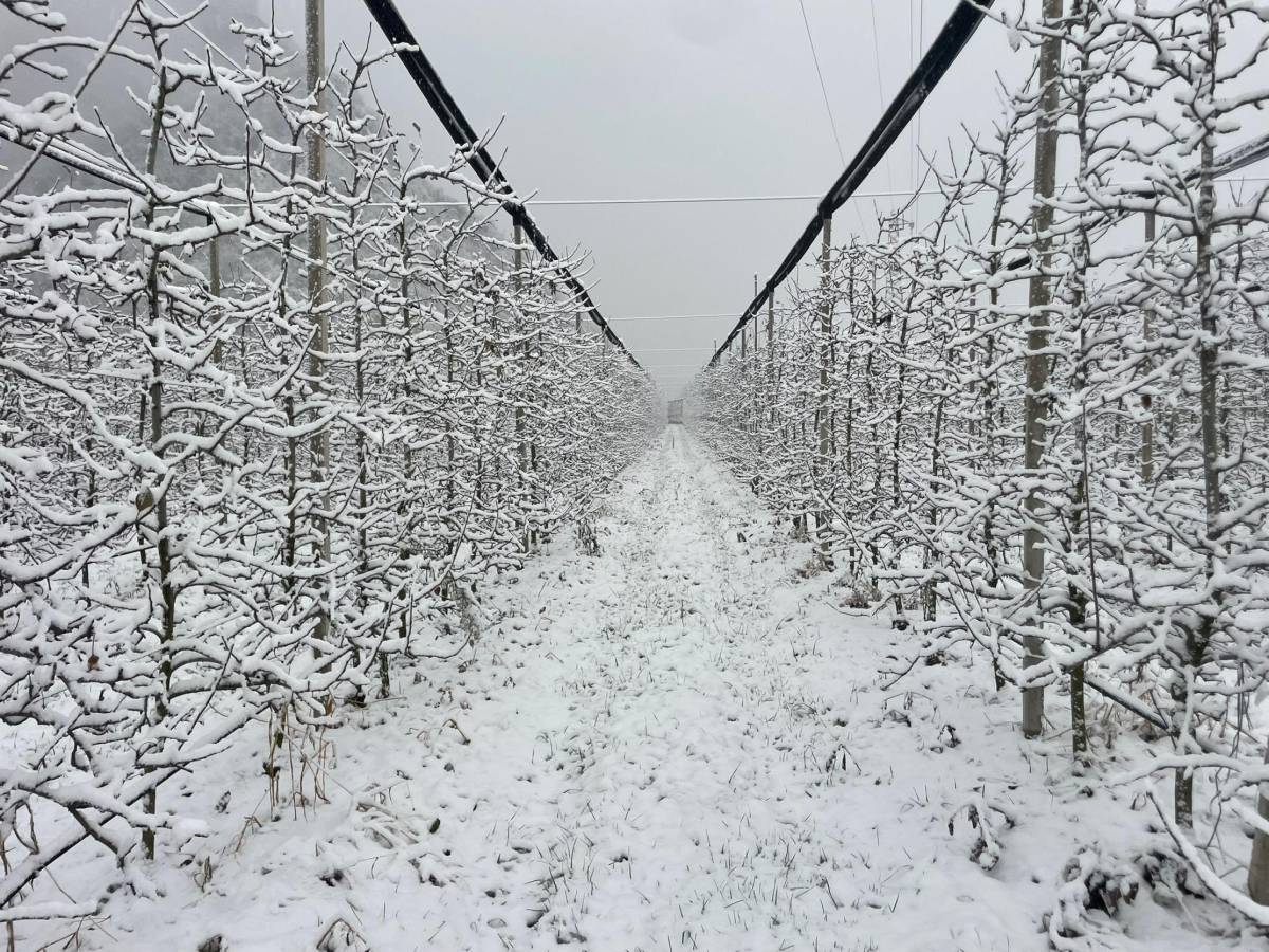 Neve, freddo e vento, si abbassa il vortice polare: cosa può succedere in Italia