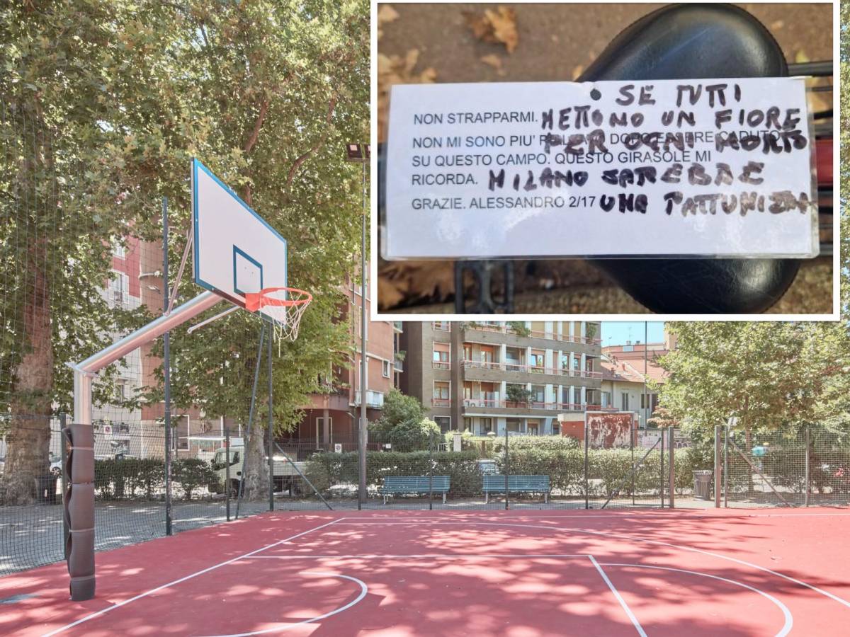 a milano scoppia la protesta dei girasoli per alessandro cosa 232 successo da Ilgiornale.it a milano scoppia la protesta dei girasoli per alessandro cosa 232 successo