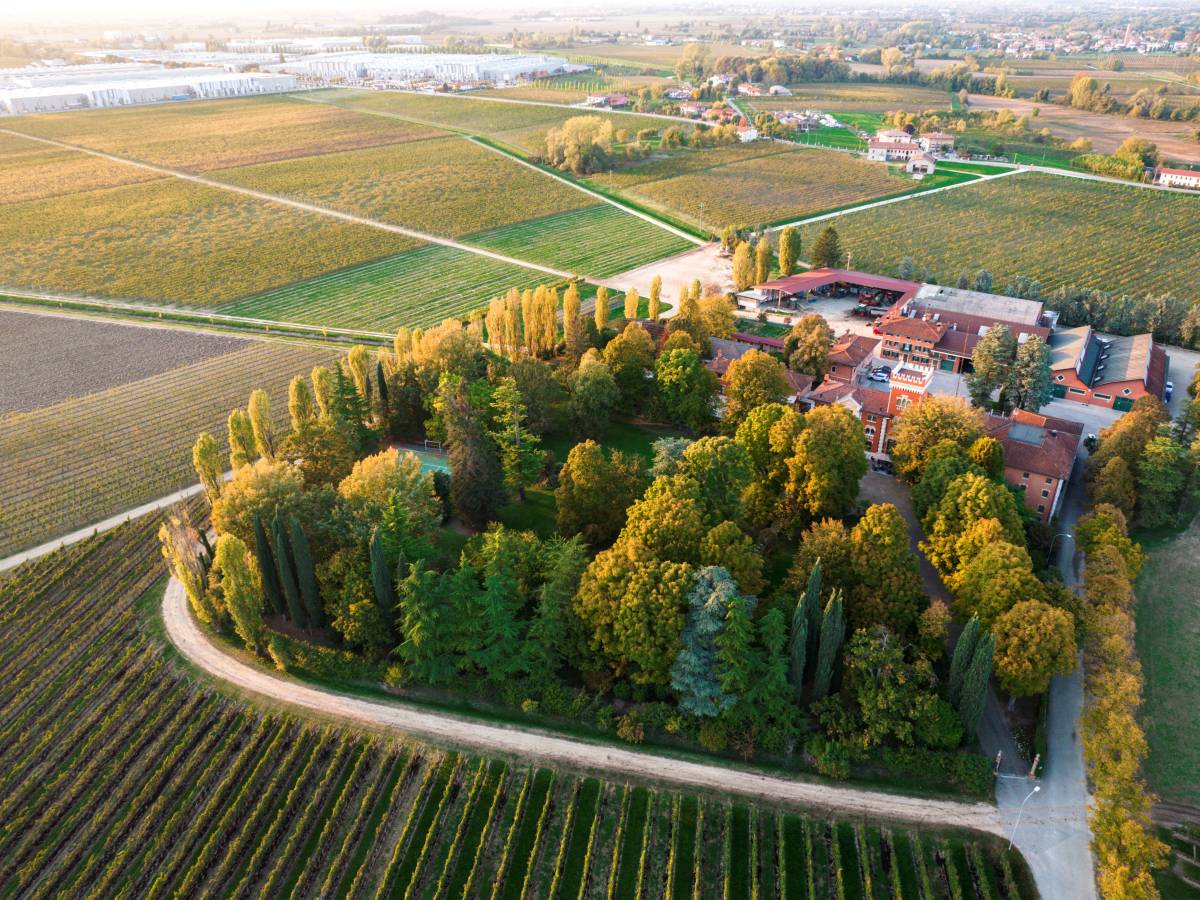 Tenute Tomasella, l’equilibrio tra natura e uomo Tenute Tomasella, l’equilibrio tra natura e uomo
