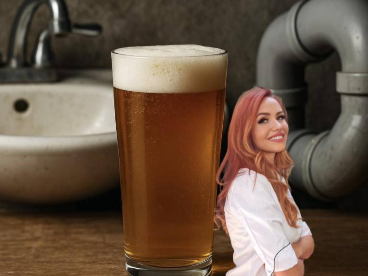 beviamo la birra del lavandino quando la sostenibilit224 supera il limite del buon senso