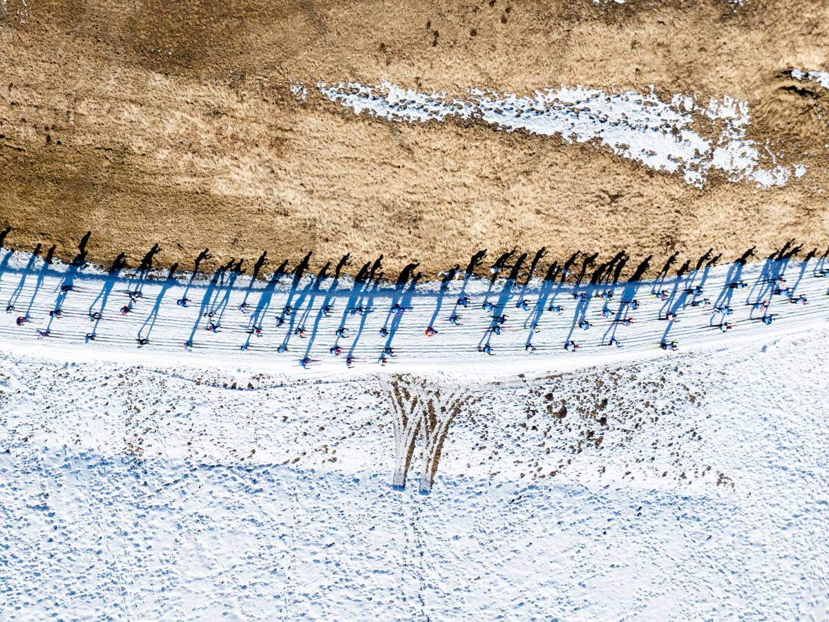 Whyte Entropy-mostra foto-Malpensa