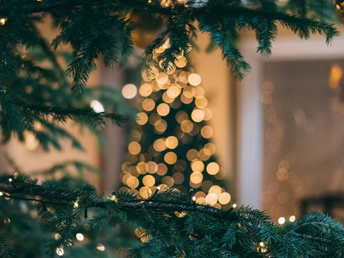 Buona immacolata 2025, gli auguri da inviare su WhatsApp l