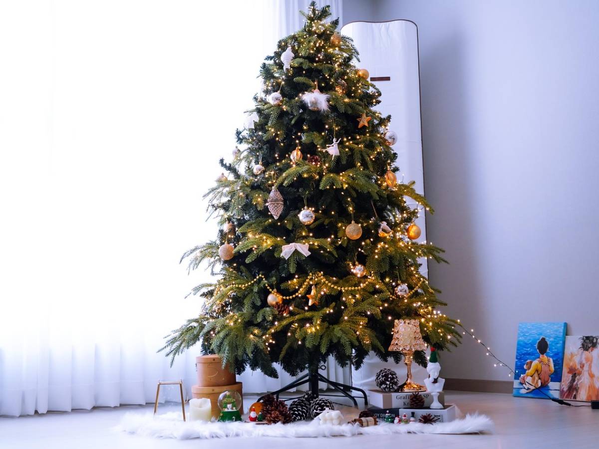 Albero di Natale: perché si prepara l’8 dicembre, giorno dell’Immacolata Albero di Natale: perché si prepara l’8 dicembre, giorno dell’Immacolata