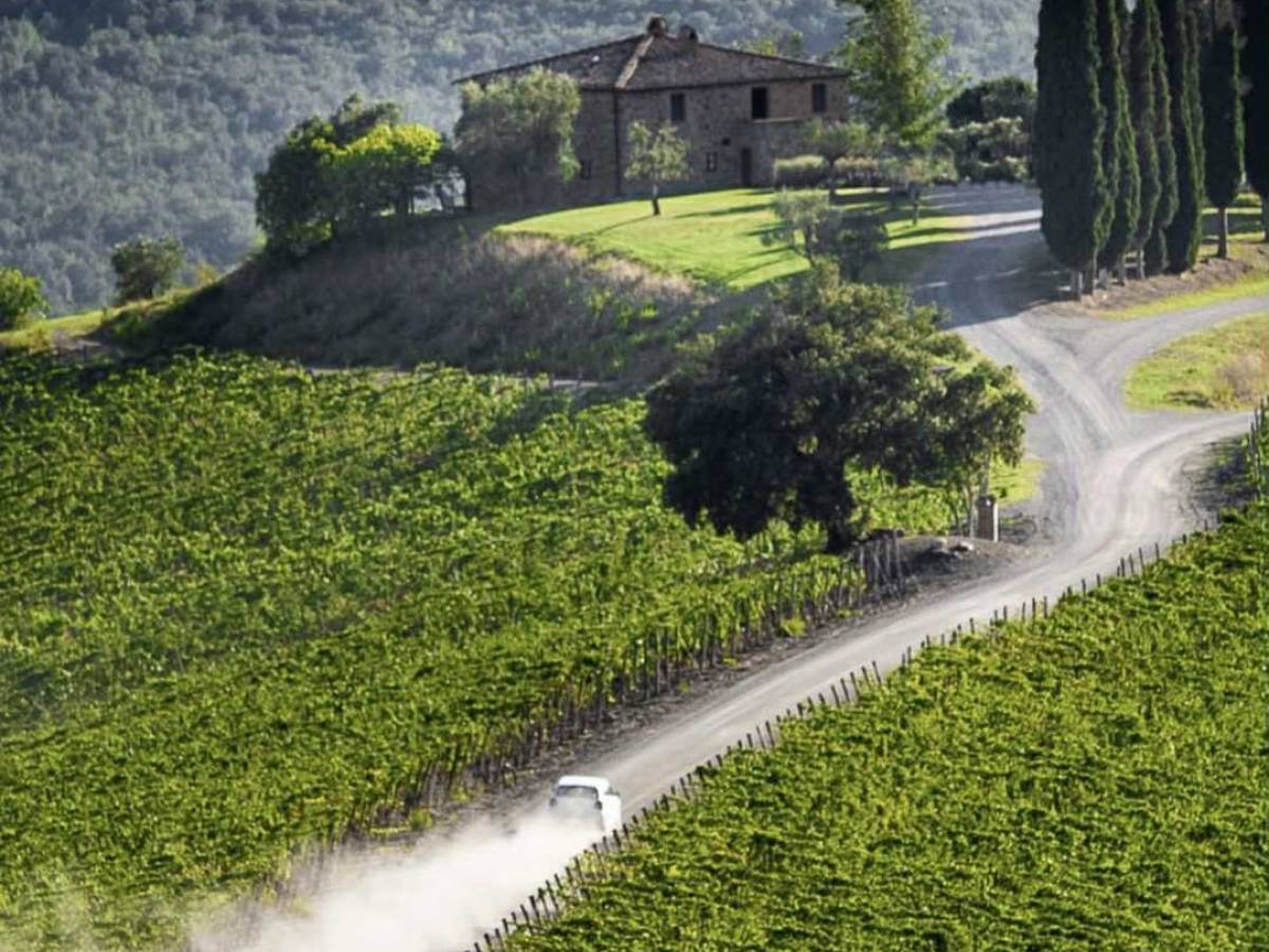 brunello di montalcino 2021 ecco i quindici da non perdere da Ilgiornale.it brunello di montalcino 2021 ecco i quindici da non perdere