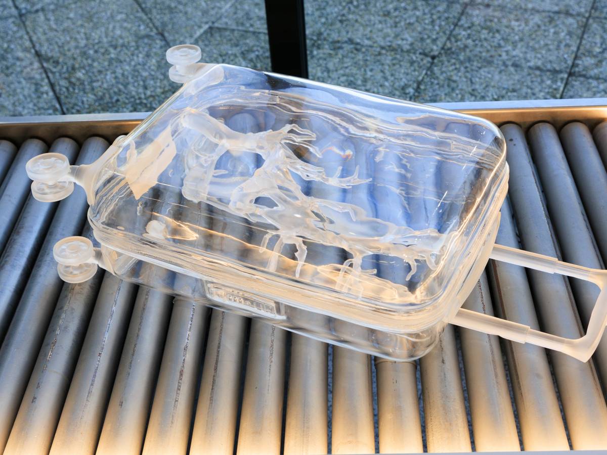 Mostra X-Ray-Me a Malpensa