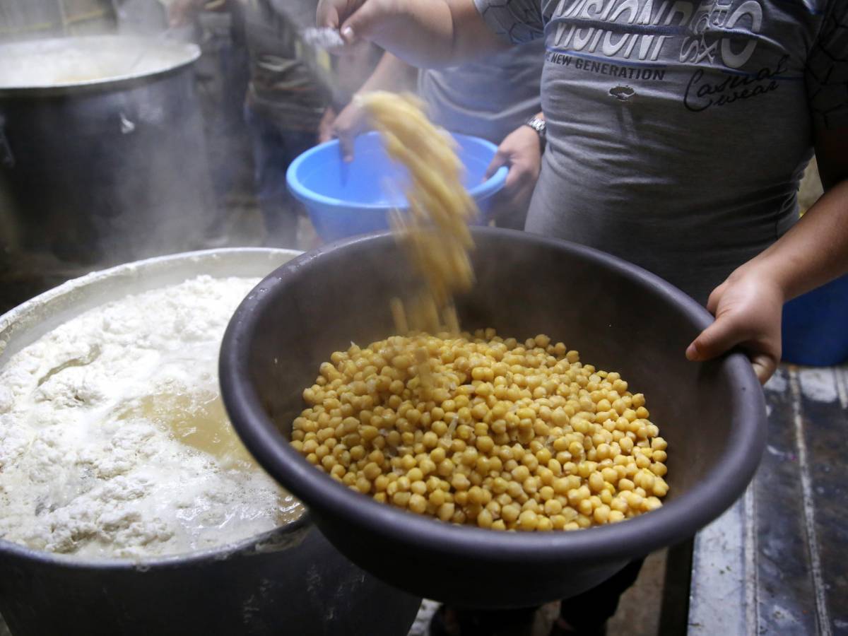 menu palestinese ai bambini della primaria l ultima trovata del centrosinistra da Ilgiornale.it menu palestinese ai bambini della primaria l ultima trovata del centrosinistra