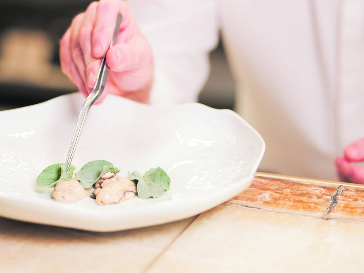 dalle stelle al veg un natale per tutti i gusti e le tasche da Ilgiornale.it dalle stelle al veg un natale per tutti i gusti e le tasche