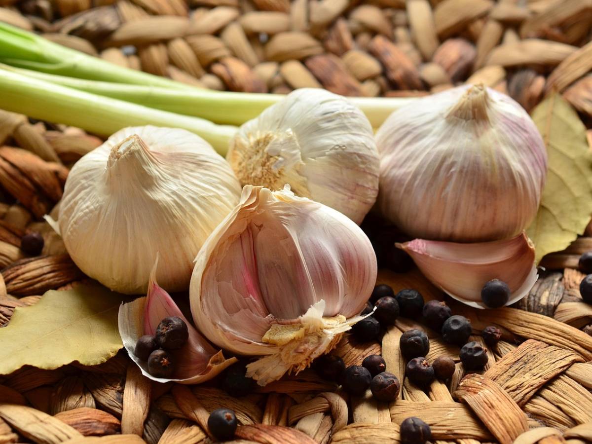 cosa mangiare quando si ha l influenza i 7 alimenti consigliati da Ilgiornale.it cosa mangiare quando si ha l influenza i 7 alimenti consigliati