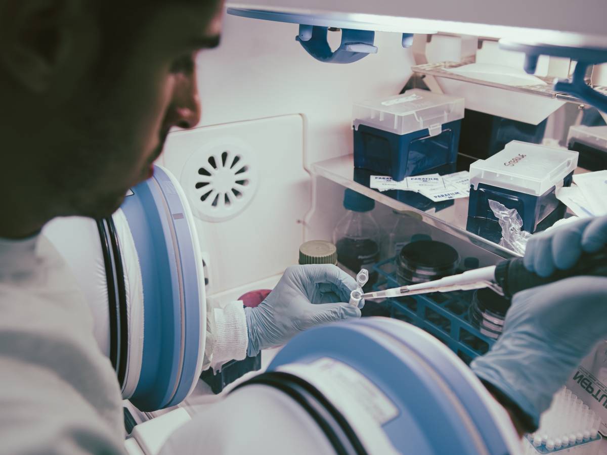 cambielli sostiene la ricerca scientifica da Ilgiornale.it cambielli sostiene la ricerca scientifica