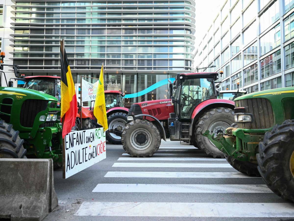 trattori e lacrimogeni davanti al parlamento ue la protesta degli agricoltori infiamma bruxelles da Ilgiornale.it trattori e lacrimogeni davanti al parlamento ue la protesta degli agricoltori infiamma bruxelles