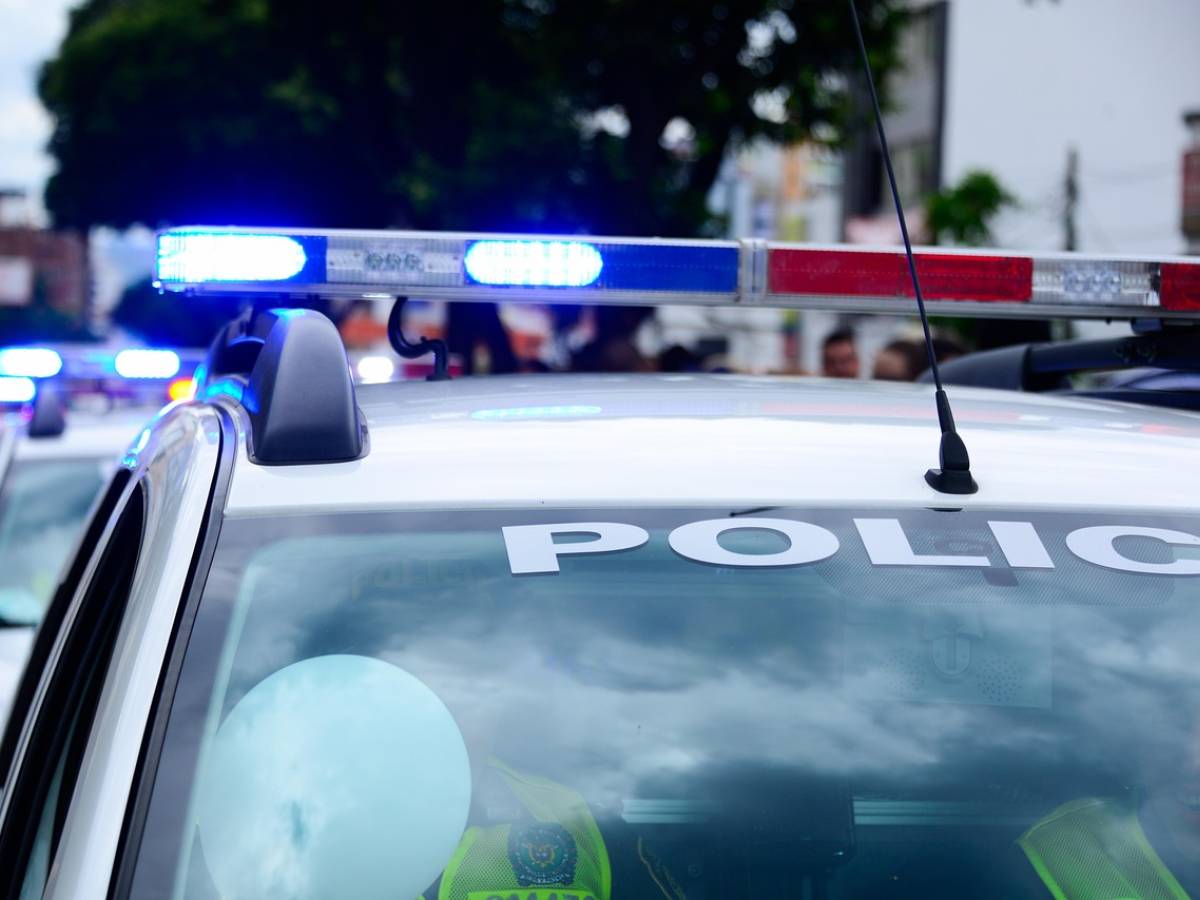 operazione senza precedenti in florida 43 bambini scomparsi ritrovati in due settimane da Ilgiornale.it operazione senza precedenti in florida 43 bambini scomparsi ritrovati in due settimane