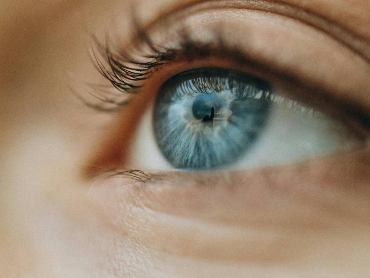 carenza di magnesio dal tremolio all occhio alla stanchezza 8 segnali indicatori da Ilgiornale.it carenza di magnesio dal tremolio all occhio alla stanchezza 8 segnali indicatori