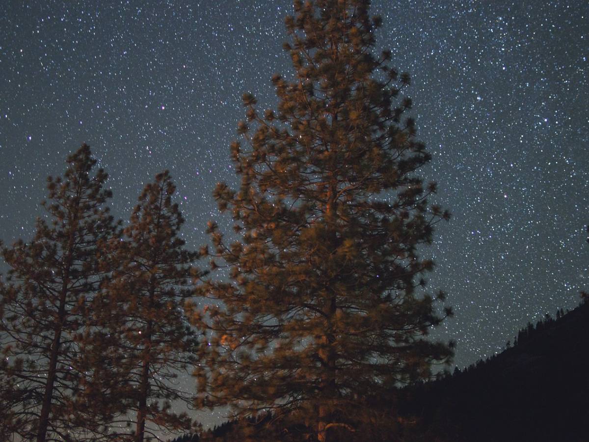 natale 2025 sotto le stelle gli spettacoli pi249 belli del cielo a dicembre da Ilgiornale.it natale 2025 sotto le stelle gli spettacoli pi249 belli del cielo a dicembre