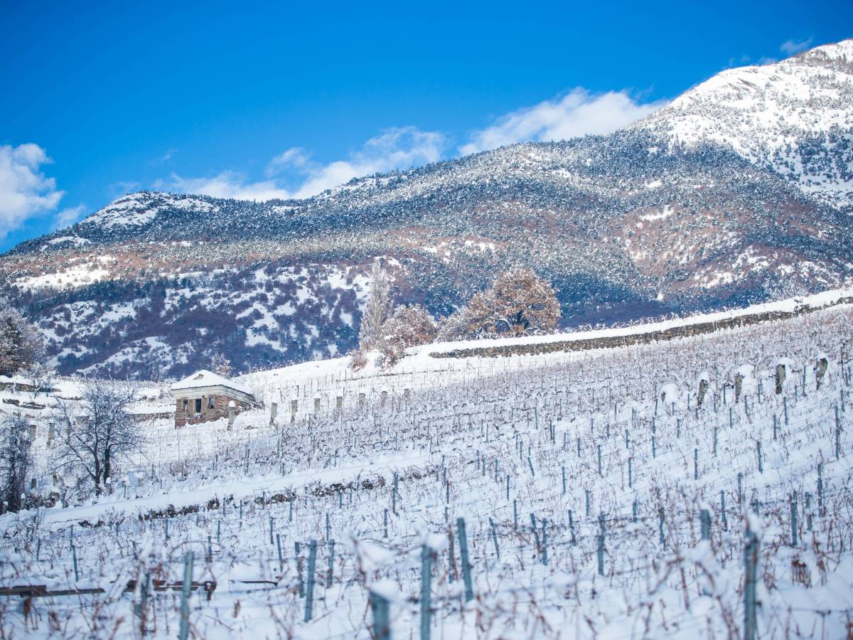Grosjean, se la montagna va al vino Grosjean, se la montagna va al vino