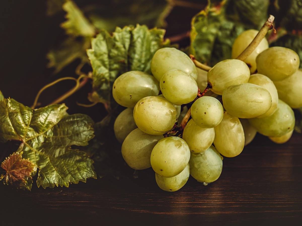 cenone di capodanno i cibi da mangiare che portano fortuna e ricchezza nel nuovo anno da Ilgiornale.it cenone di capodanno i cibi da mangiare che portano fortuna e ricchezza nel nuovo anno