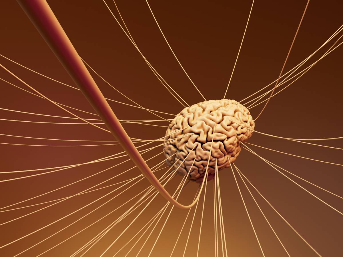 schizofrenia e bipolarismo scoperti i segnali chiave che identificano la malattia mentale da Ilgiornale.it schizofrenia e bipolarismo scoperti i segnali chiave che identificano la malattia mentale