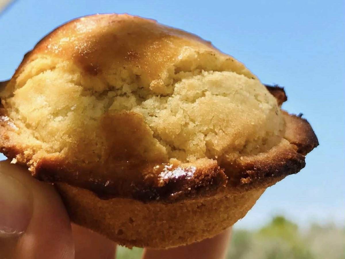 osteria popolare pugliese popolare per modo di dire da Ilgiornale.it osteria popolare pugliese popolare per modo di dire