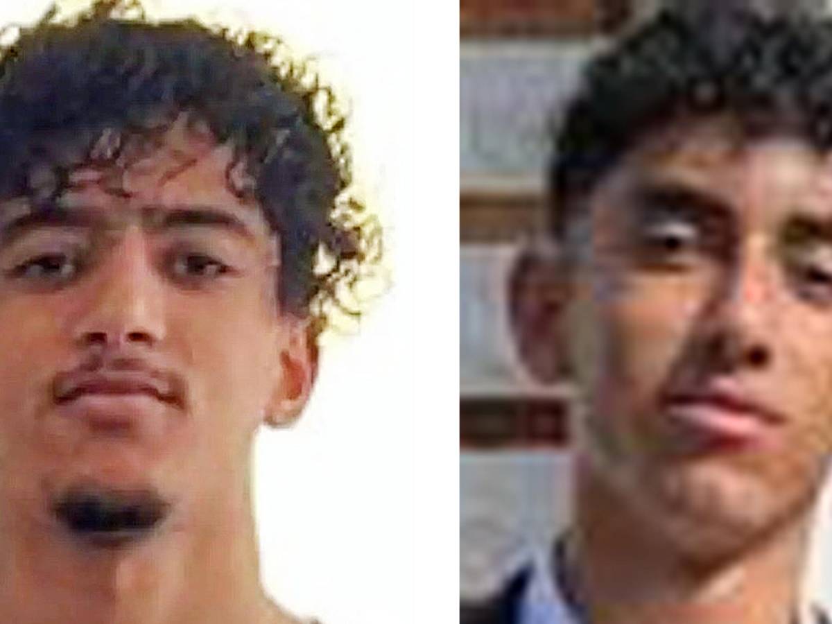 quel killer non va capito ma che dice gruber e bardella quindi oggi da Ilgiornale.it quel killer non va capito ma che dice gruber e bardella quindi oggi