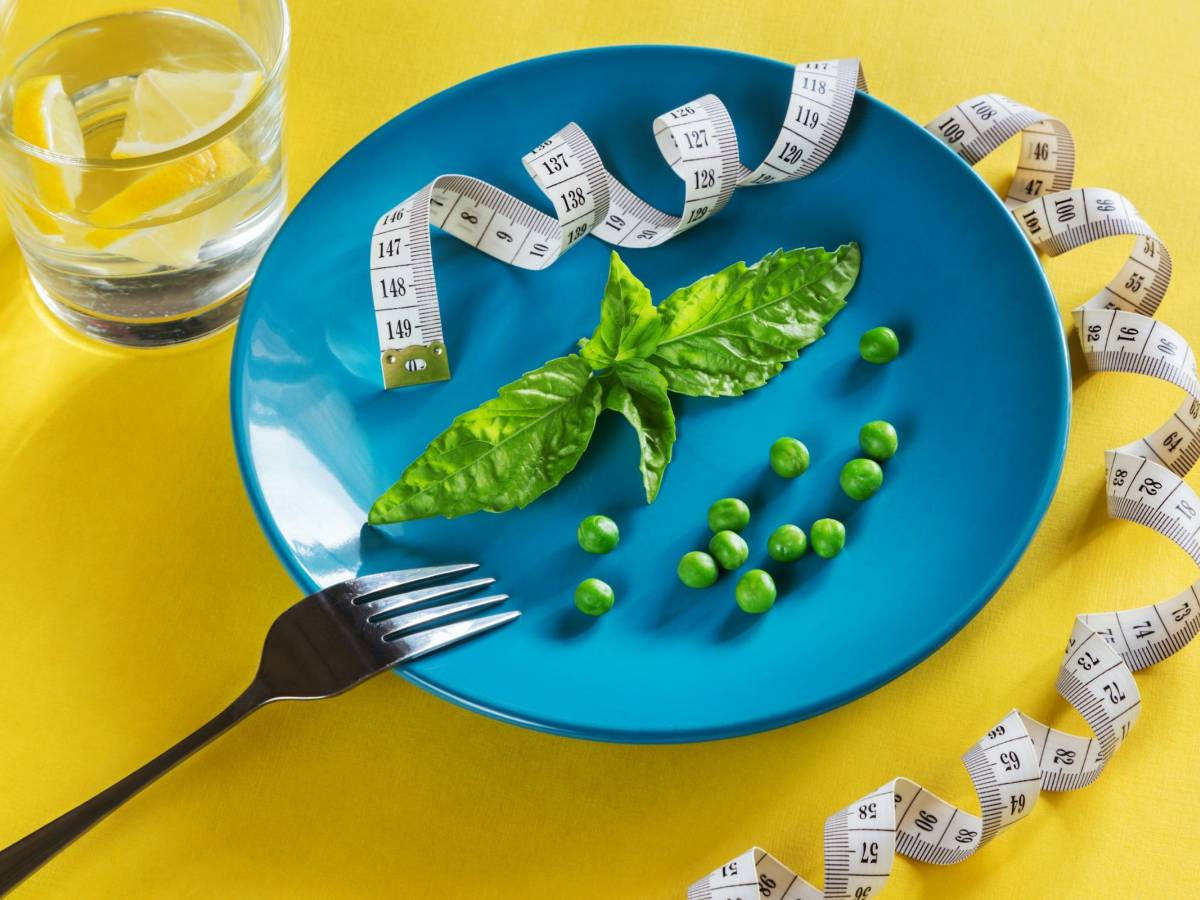 la dieta che fa bene al cervello uno studio rivela i benefici del digiuno intermittente da Ilgiornale.it la dieta che fa bene al cervello uno studio rivela i benefici del digiuno intermittente