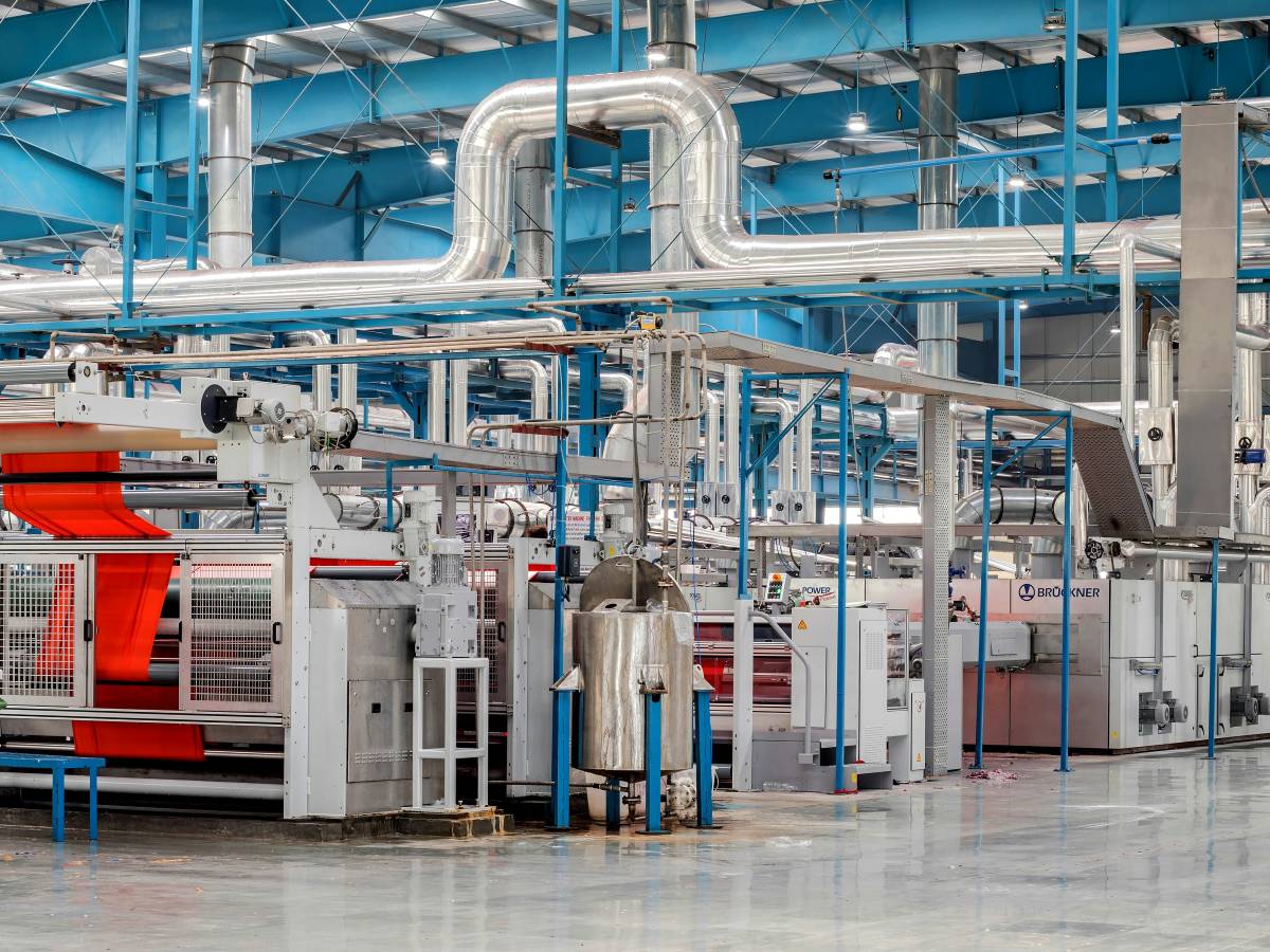 come in squid game questionario choc in azienda quale collega licenzieresti da Ilgiornale.it come in squid game questionario choc in azienda quale collega licenzieresti