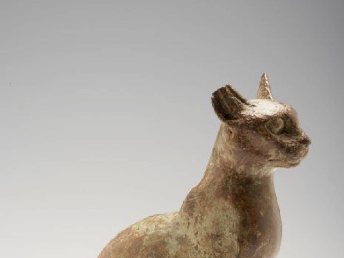 apre a marzo la galleria dell antico egitto progetto dell architetto viennese scherer da Ilgiornale.it apre a marzo la galleria dell antico egitto progetto dell architetto viennese scherer