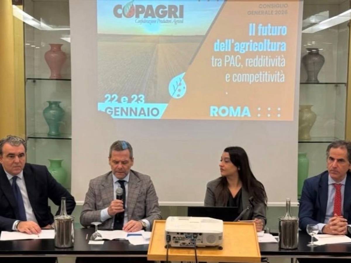 agea il direttore vitale traccia il futuro 56 miliardi erogati e svolta digitale fino al 2028 da Ilgiornale.it agea il direttore vitale traccia il futuro 56 miliardi erogati e svolta digitale fino al 2028