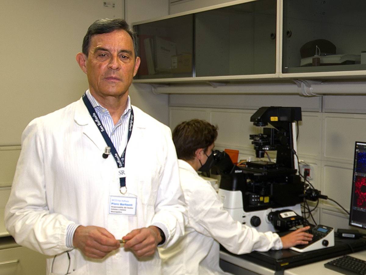 emicrania pediatrica svolta storica guidata dall8217irccs san raffaele di roma un anticorpo monoclonale dimezza gli attacchi da Ilgiornale.it emicrania pediatrica svolta storica guidata dall8217irccs san raffaele di roma un anticorpo monoclonale dimezza gli attacchi