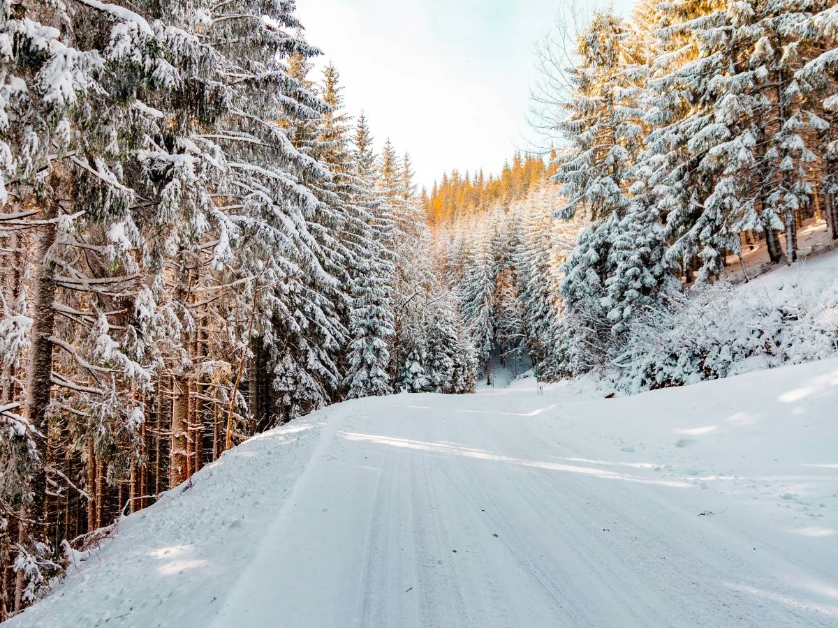 l 11enne ha il biglietto del bus sbagliato costretto a camminare sotto la neve da Ilgiornale.it l 11enne ha il biglietto del bus sbagliato costretto a camminare sotto la neve