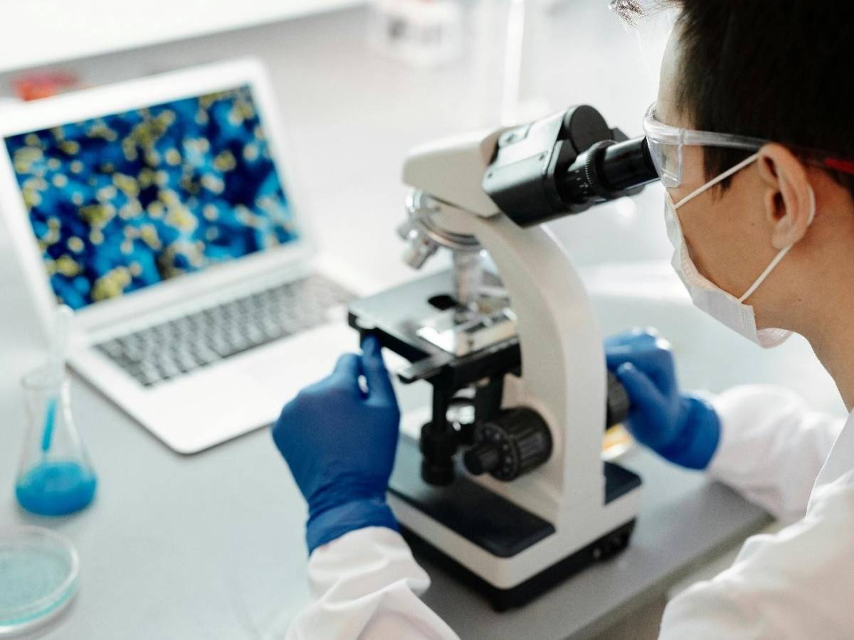 tumore al pancreas scoperto come si diffonde in fase precoce da Ilgiornale.it tumore al pancreas scoperto come si diffonde in fase precoce