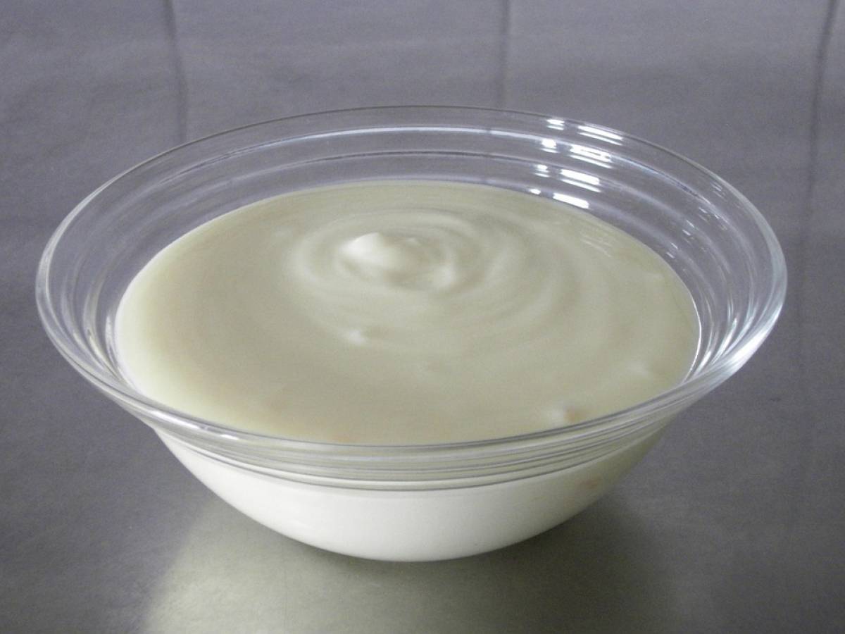 virus intestinale lo yogurt si pu242 mangiare gli alimenti ammessi e non ammessi da Ilgiornale.it virus intestinale lo yogurt si pu242 mangiare gli alimenti ammessi e non ammessi