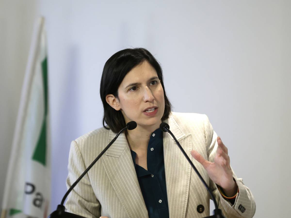 chi usa gabrielli per innervosire elly i fedelissimi fuffa al massimo ministro da Ilgiornale.it chi usa gabrielli per innervosire elly i fedelissimi fuffa al massimo ministro