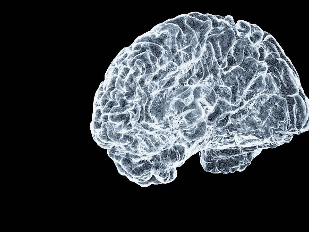 morbo di alzheimer una nuova ricerca individua le placche dannose per il cervello da Ilgiornale.it morbo di alzheimer una nuova ricerca individua le placche dannose per il cervello