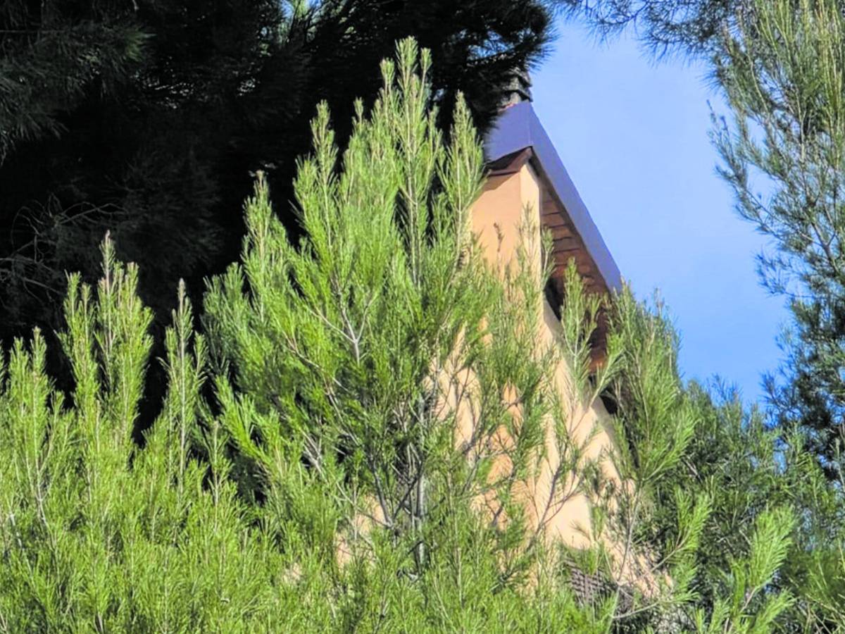 bimba uccisa il viaggio dell orrore il corpo in auto per 20 chilometri da Ilgiornale.it bimba uccisa il viaggio dell orrore il corpo in auto per 20 chilometri