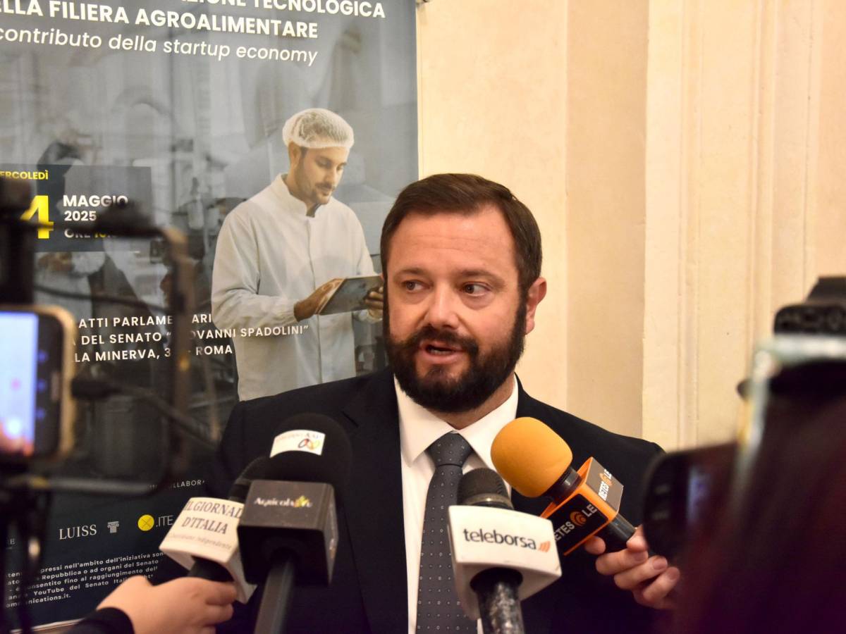 pomodoro mirco carloni pres comm agricoltura egitto mette a rischio filiera depositata interrogazione a ministri lollobrigida e schillaci da Ilgiornale.it pomodoro mirco carloni pres comm agricoltura egitto mette a rischio filiera depositata interrogazione a ministri lollobrigida e schillaci