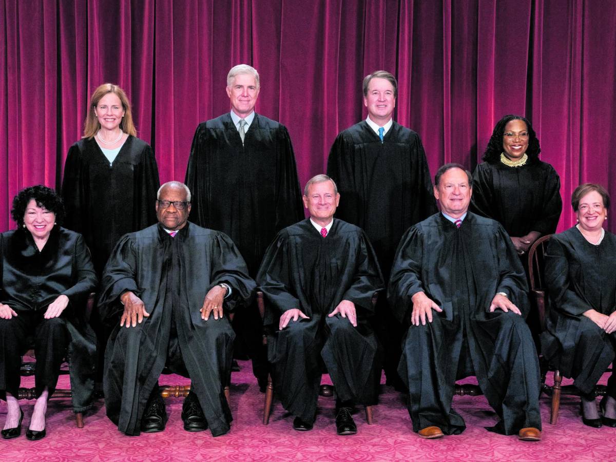 Gli anticorpi democratici all