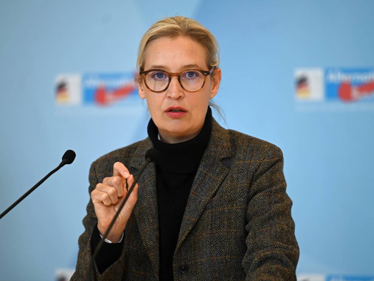 afd non 232 un partito estremista di destra il tribunale d224 ragione all8217organizzazione tedesca da Ilgiornale.it afd non 232 un partito estremista di destra il tribunale d224 ragione all8217organizzazione tedesca