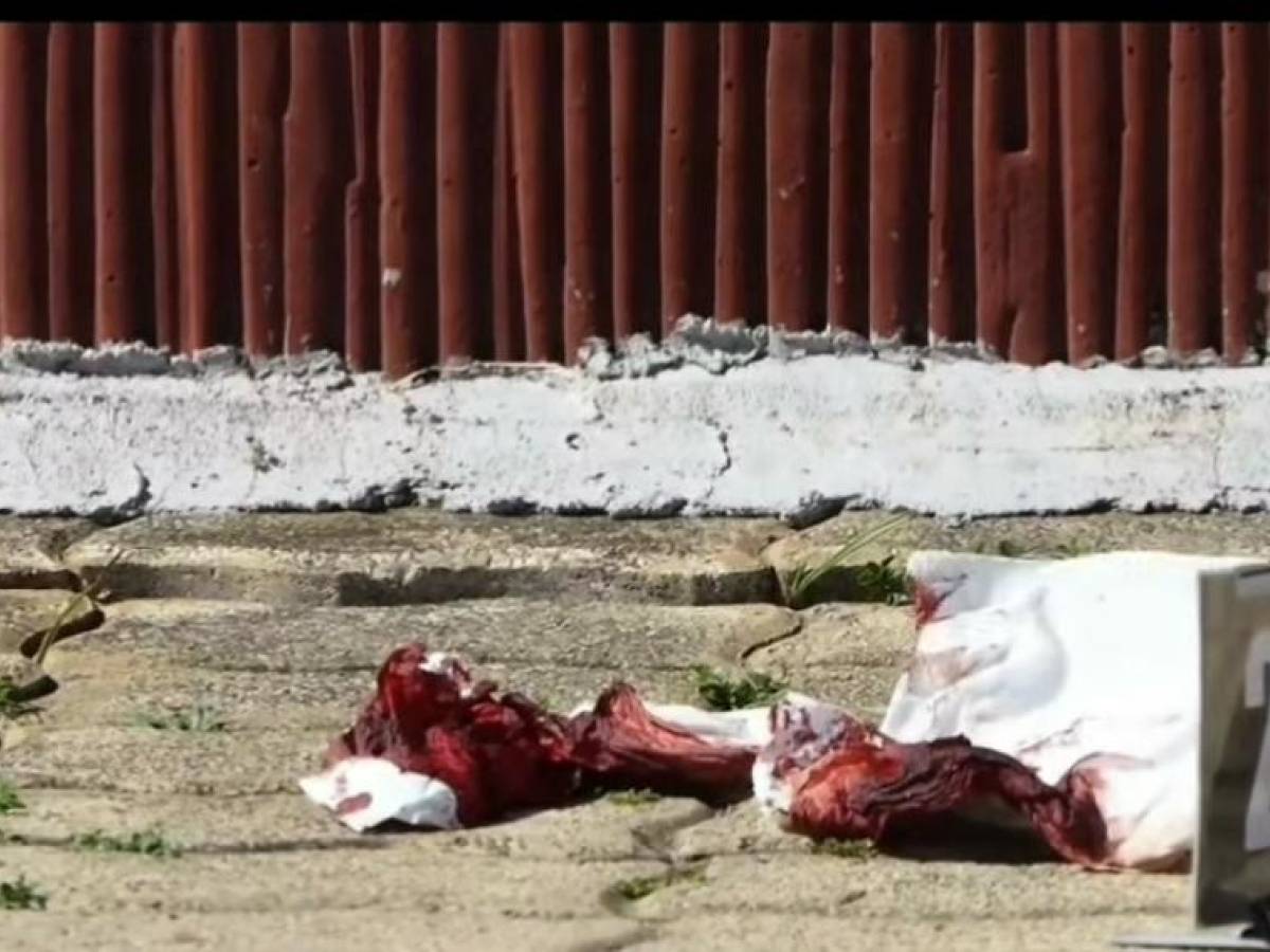 Le martellate in testa al compagno, poi l Le martellate in testa al compagno, poi l