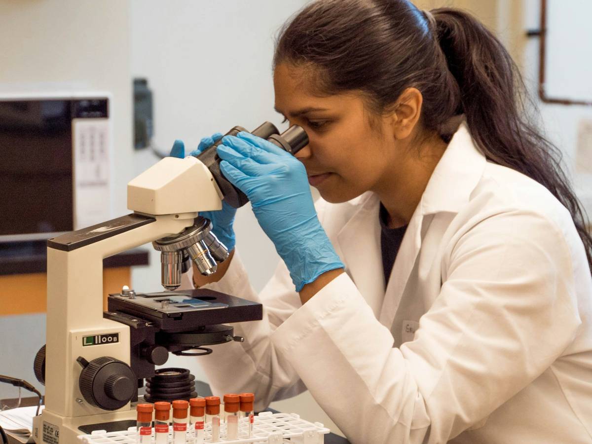 big pharma con l alambicco chatgpt presto nuovi farmaci dagli algoritmi da Ilgiornale.it big pharma con l alambicco chatgpt presto nuovi farmaci dagli algoritmi