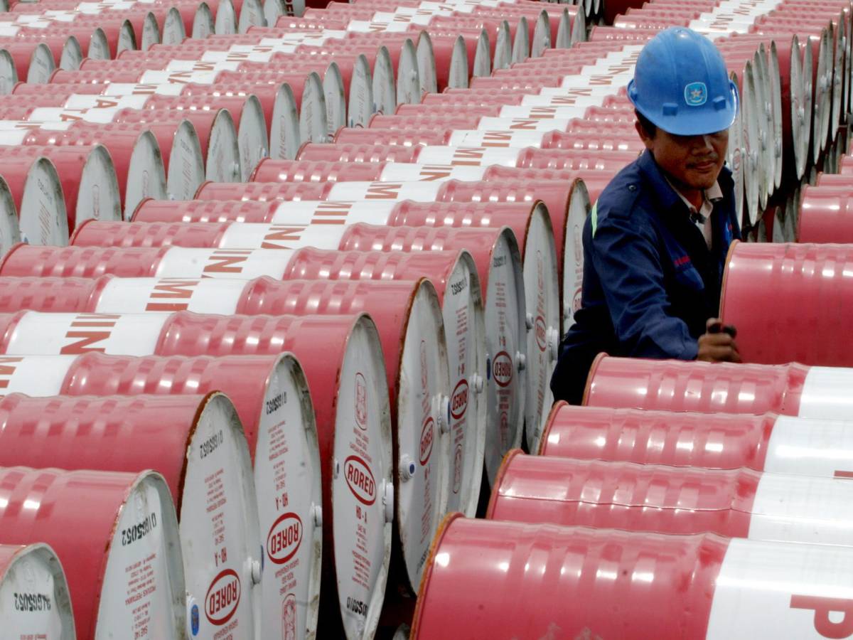 Putin: "Pronti a cooperare con Ue per stabilizzare il mercato energetico". Il Ministero: "Rincari anomali in pompe di 2 compagnie" Putin: "Pronti a cooperare con Ue per stabilizzare il mercato energetico". Il Ministero: "Rincari anomali in pompe di 2 compagnie"