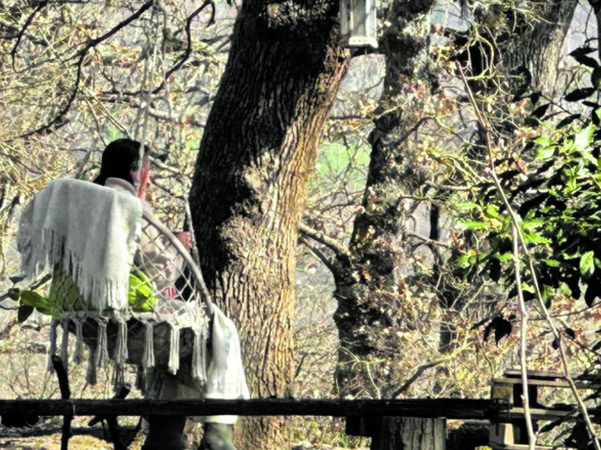 niente sciopero della fame ma i bimbi sono turbati da Ilgiornale.it niente sciopero della fame ma i bimbi sono turbati