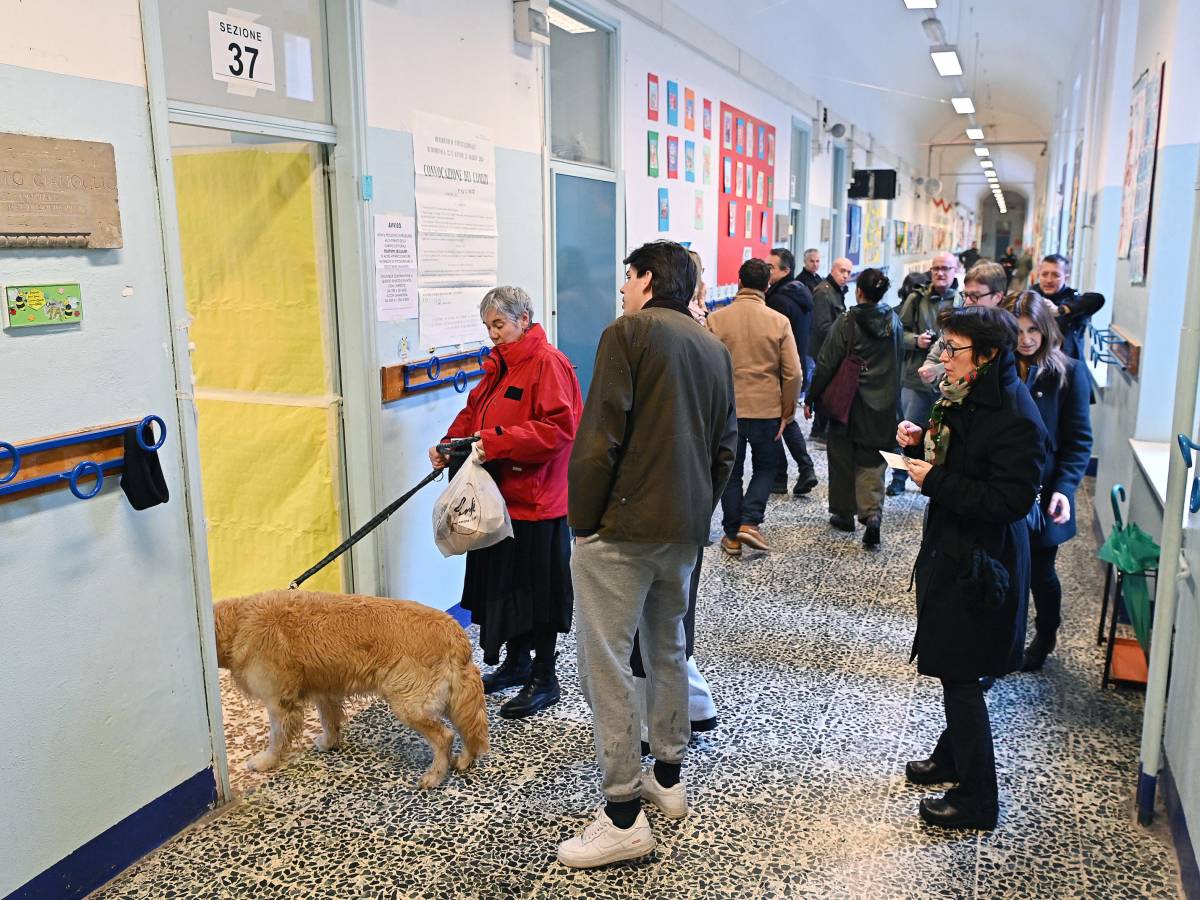 cittadini alle urne si vota sulla riforma della giustizia alle 12 affluenza al 148 all ultimo referendum era al 12 da Ilgiornale.it cittadini alle urne si vota sulla riforma della giustizia alle 12 affluenza al 148 all ultimo referendum era al 12