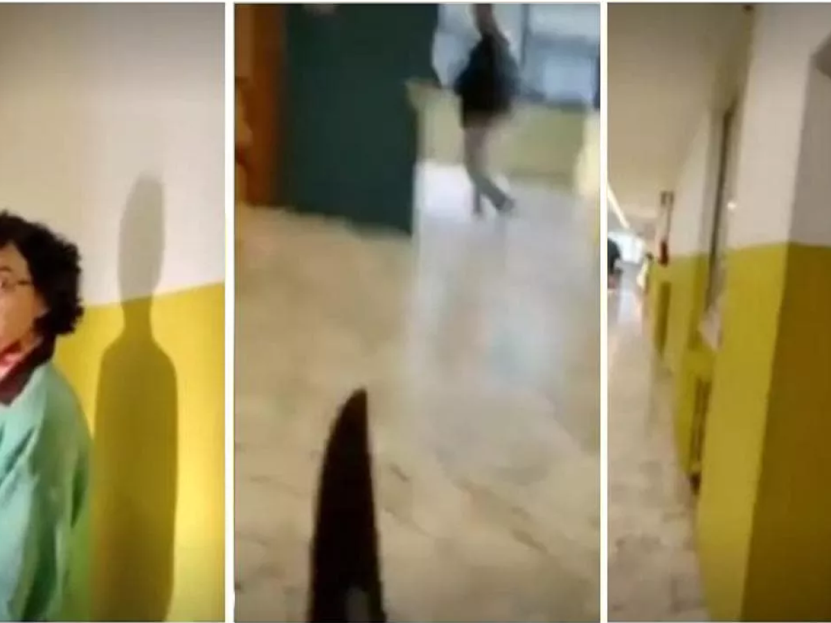 l aggressione del 13enne alla prof il video in diretta su telegram poi il pianto a dirotto in presidenza e spunta l ombra dei gruppi incel da Ilgiornale.it l aggressione del 13enne alla prof il video in diretta su telegram poi il pianto a dirotto in presidenza e spunta l ombra dei gruppi incel