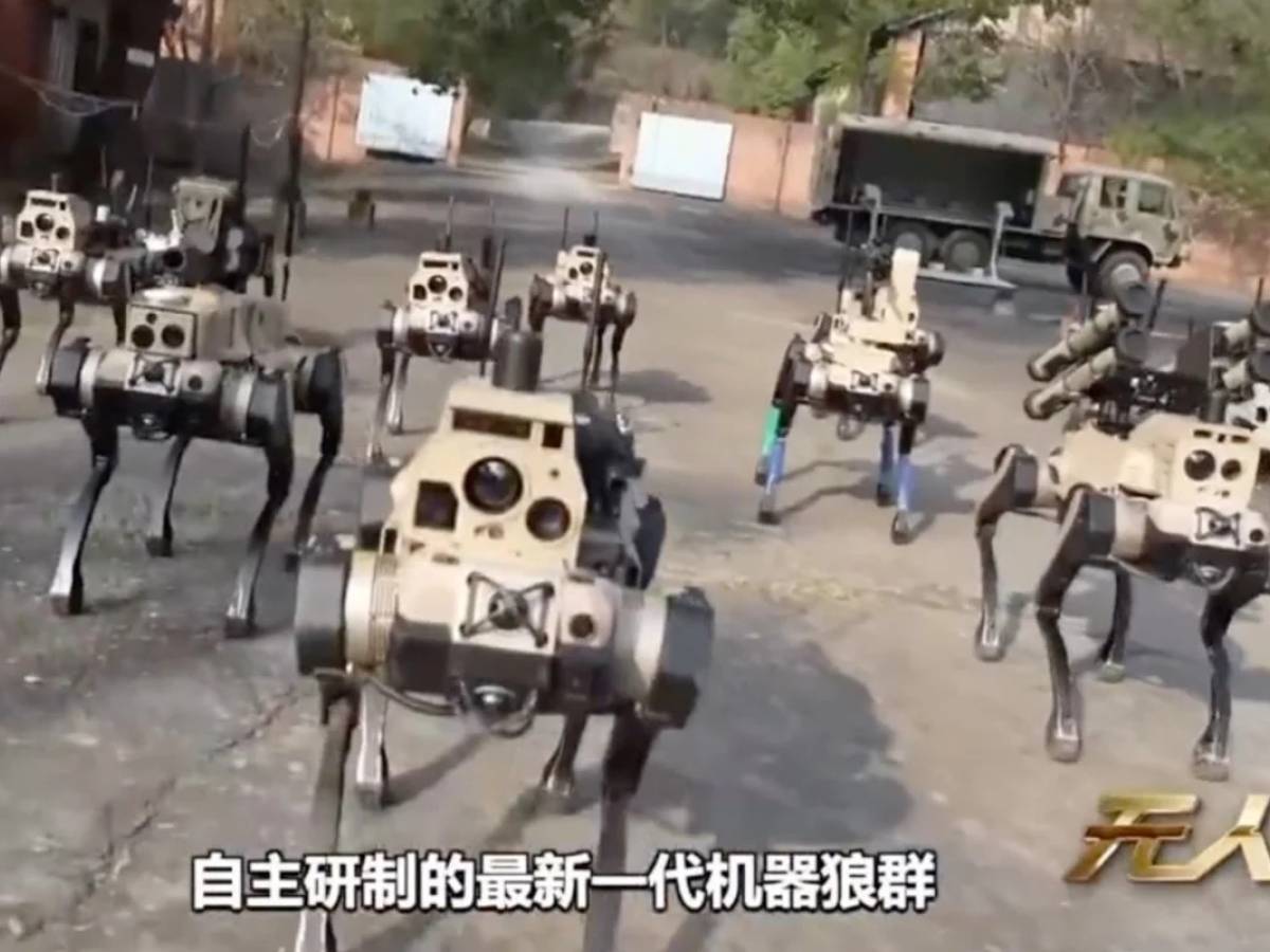 un branco di lupi robot ecco il nuovo sciame militare della cina da Ilgiornale.it un branco di lupi robot ecco il nuovo sciame militare della cina